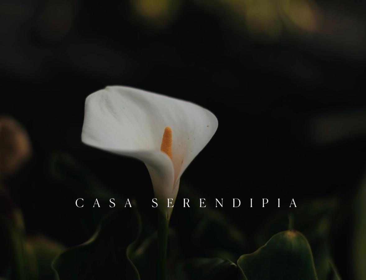 Casa Serendipia La Asomada  المظهر الخارجي الصورة